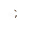 5mm LDR Sensor Photoresistor Photo Cell 20-30K – GL5537-1